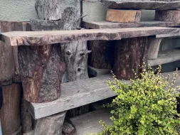 Log-Bench-3-2m.webp