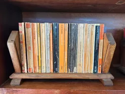 Books-12.webp