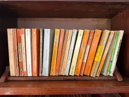 Books-14.webp
