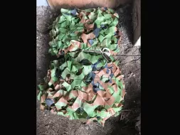 Camo-14.webp
