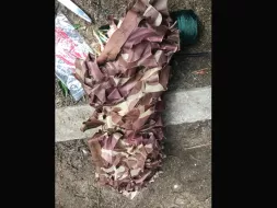 Camo-15.webp
