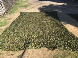 Camo-20.webp