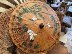 Chinese-umbrellas-26.webp