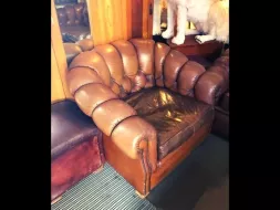 Couch-Chester-Side.webp