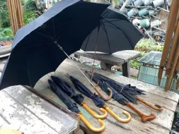 Hand-Held-Umbrellas-15.webp