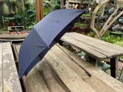Hand-Held-Umbrellas-16.webp