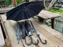 Hand-Held-Umbrellas-17.webp