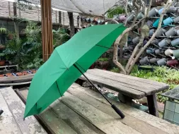 Hand-Held-Umbrellas-18.webp