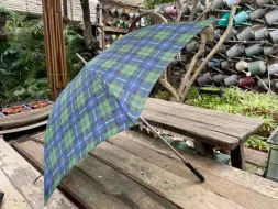Hand-Held-Umbrellas-20.webp