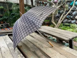 Hand-Held-Umbrellas-22.webp