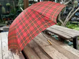 Hand-Held-Umbrellas-23.webp
