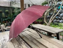 Hand-Held-Umbrellas-24.webp