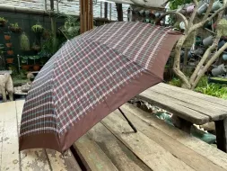 Hand-Held-Umbrellas-25.webp