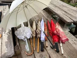 Hand-Held-Umbrellas-3.webp