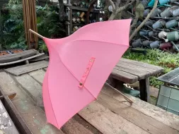 Hand-Held-Umbrellas-30.webp
