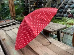 Hand-Held-Umbrellas-32.webp