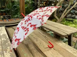 Hand-Held-Umbrellas-34.webp