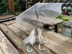 Hand-Held-Umbrellas-41.webp