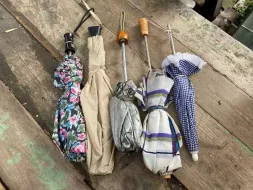 Hand-Held-Umbrellas-42.webp