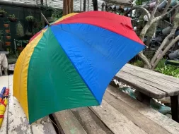 Hand-Held-Umbrellas-45.webp