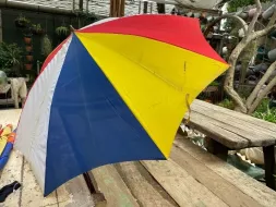 Hand-Held-Umbrellas-46.webp