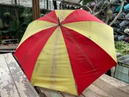 Hand-Held-Umbrellas-47.webp