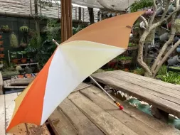 Hand-Held-Umbrellas-49.webp