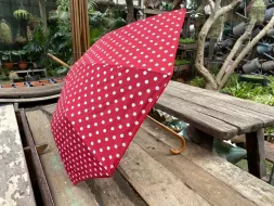 Hand-Held-Umbrellas-5.webp