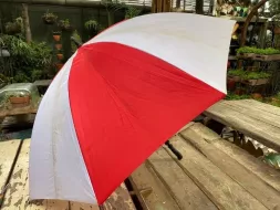 Hand-Held-Umbrellas-52.webp