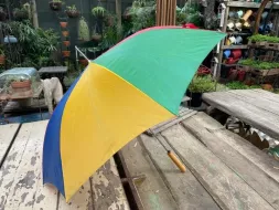 Hand-Held-Umbrellas-53.webp