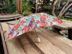 Hand-Held-Umbrellas-63.webp