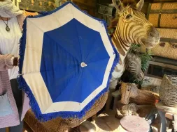 Hand-Held-Umbrellas-67.webp