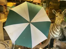 Hand-Held-Umbrellas-68.webp