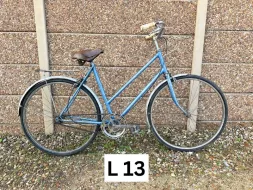 L-13
