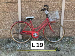 L-19
