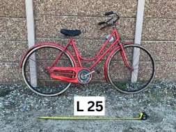 L-25