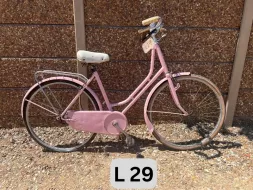 L-29