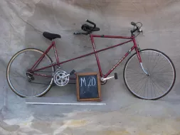 M-20