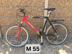 M-55