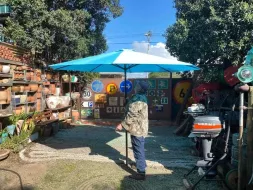 Patio-umbrellas-7.webp