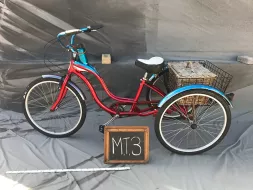 M-T3.1.webp