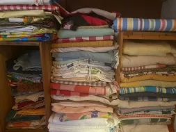 T.Cloths1.webp