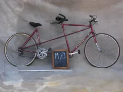 M-20.webp