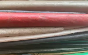 Tarp-11.webp