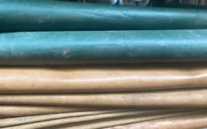 Tarp-12.webp