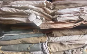 Tarp-2.webp