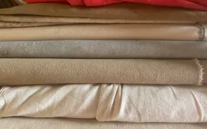 Tarp-5.webp