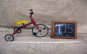 Tri-11.5.webp