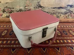 Van-Case-8.webp